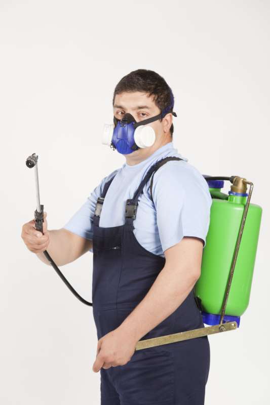 Forensic Pest Control (Crime Scene Infestation Management)